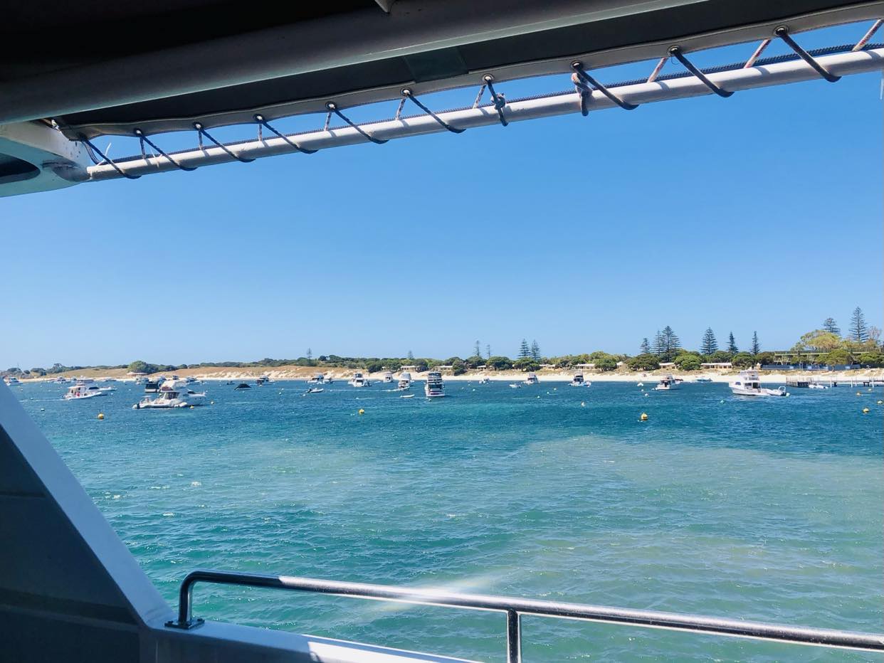 Getting to Rottnest Island