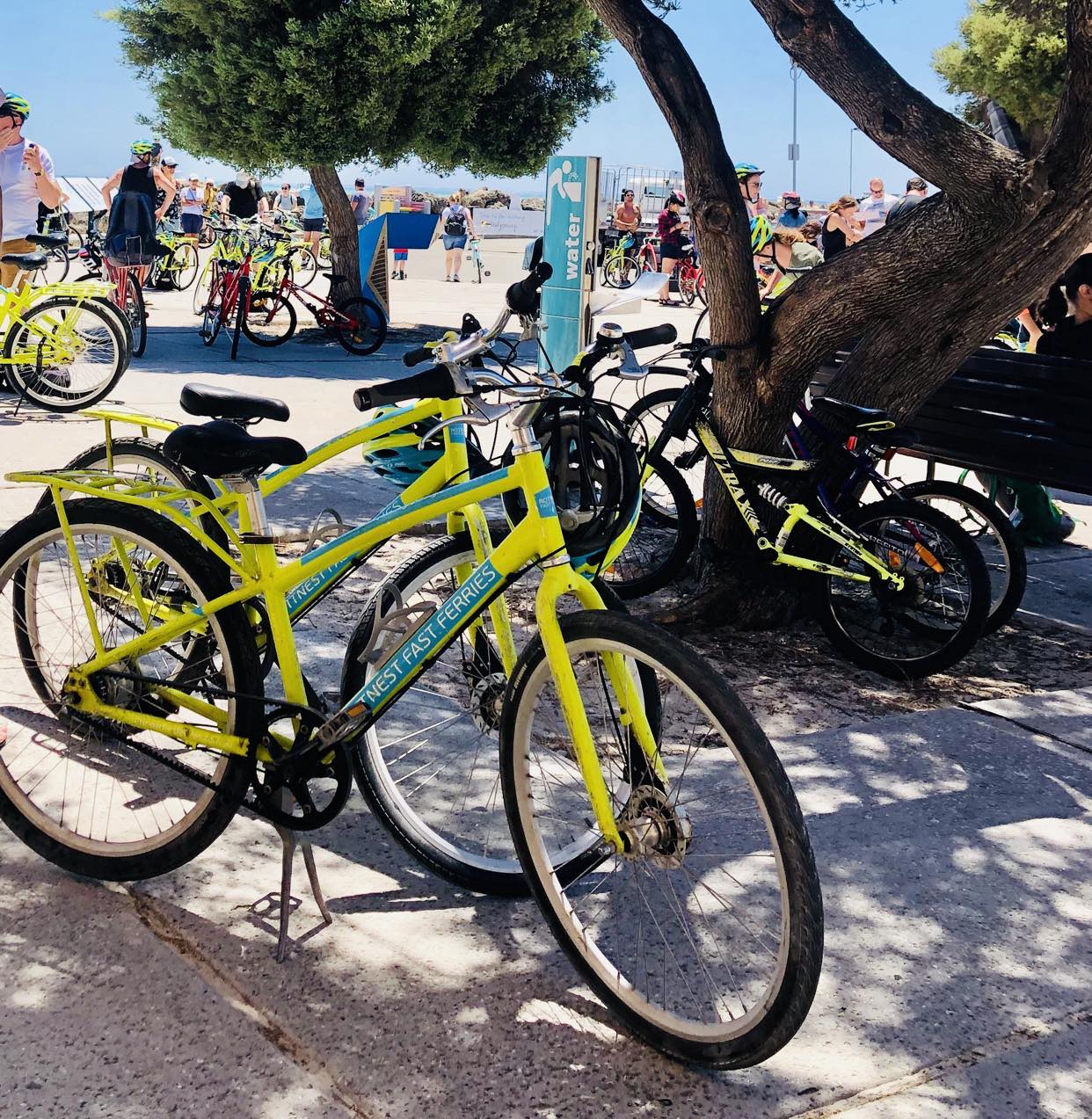 Cycle Rottnest Island